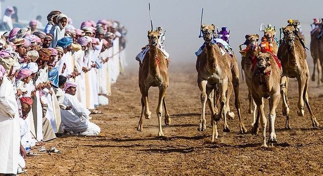 Assista o Festival de Corrida de Camelos ao vivo